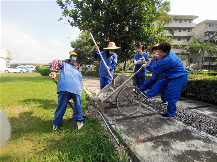 后勤部姐姐们，用砂石把草地空隙处补漏.jpg